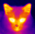 ypocat